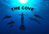 the cove