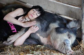 Joan Jett & pig