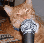 Cat on the Mic by Talking Animals