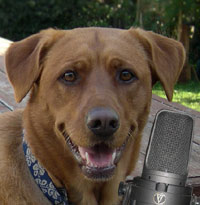 Maggie on Talking Animals
