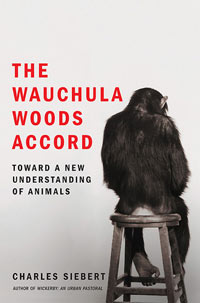 Wauchula Cover