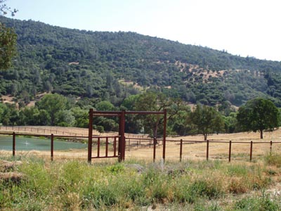 Asianarea