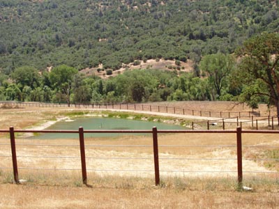 Asianlake