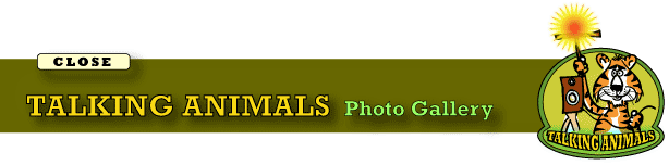 TalkingAnimalsGallery
